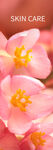 花草 灯片图