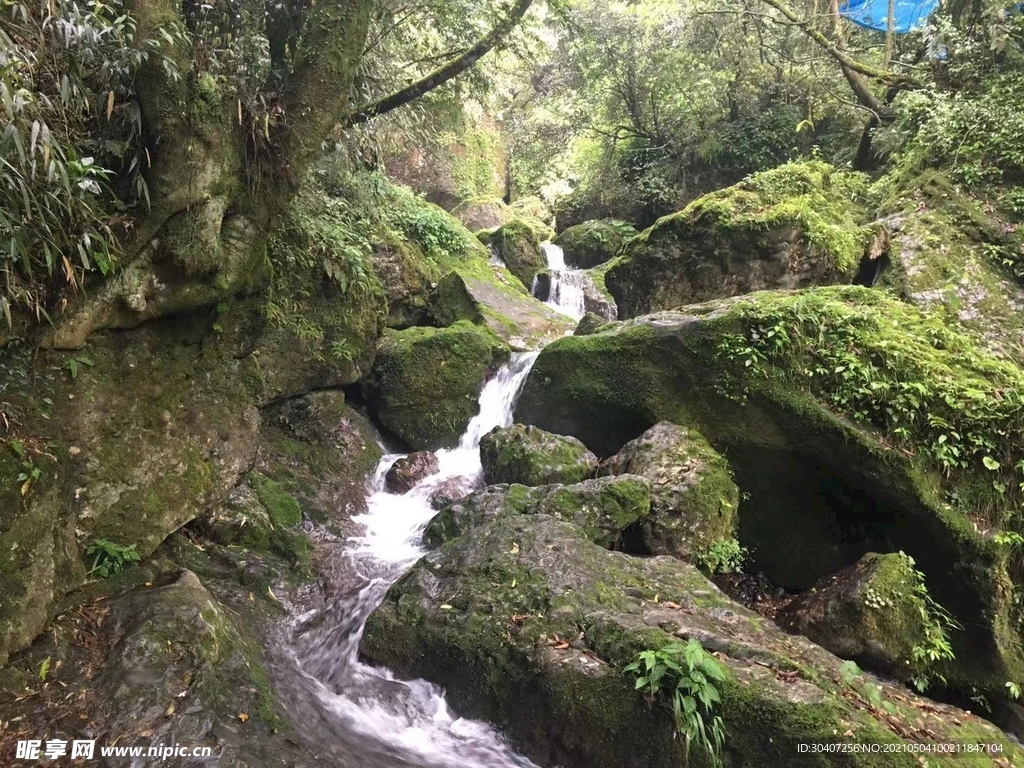 青城山山涧溪流