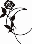 月亮与玫瑰花 logo