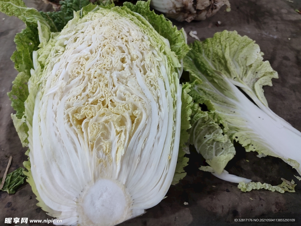 白菜