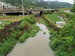 青山绿水农村风景图