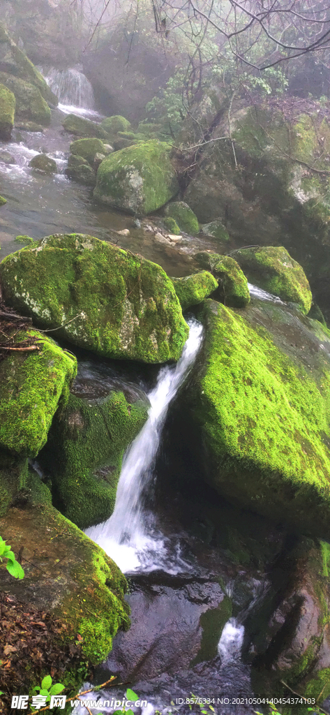 山  水  石  青苔