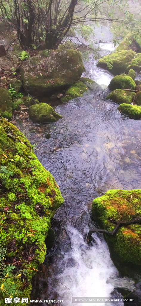 山 水 石 青苔