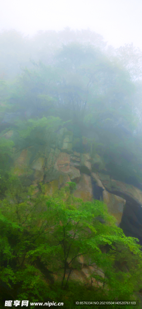 青山 石块