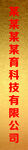 钛金牌