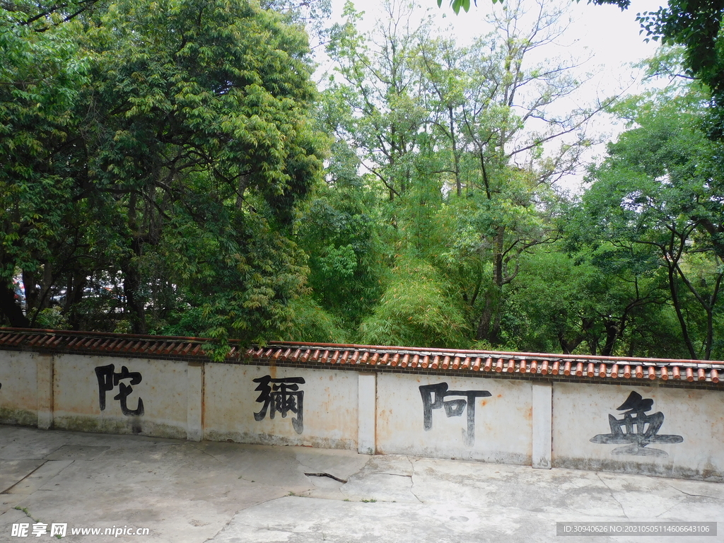 盘龙寺