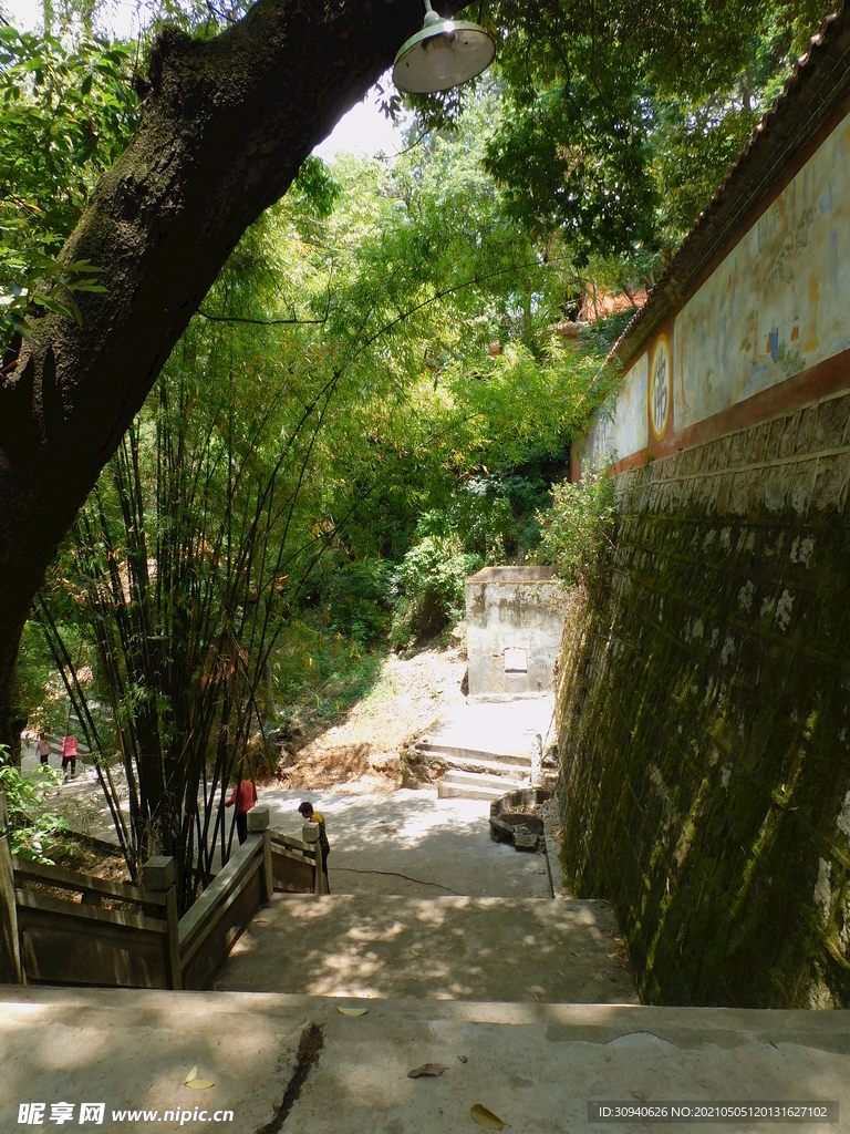 盘龙寺