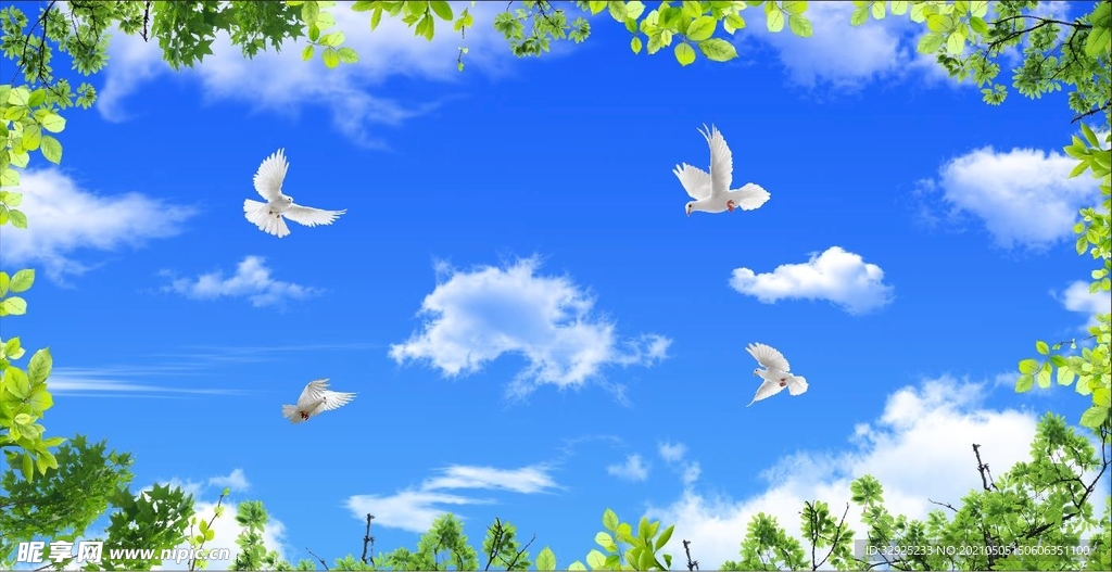 蓝天白云鸽子绿叶