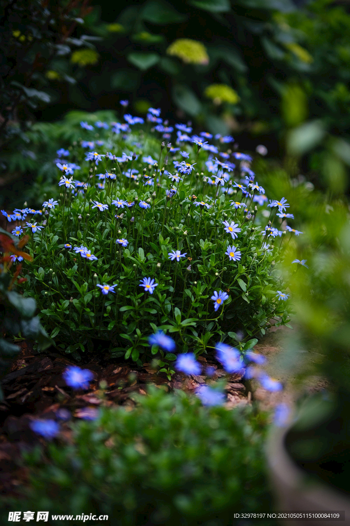 花