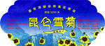 昆仑雪菊