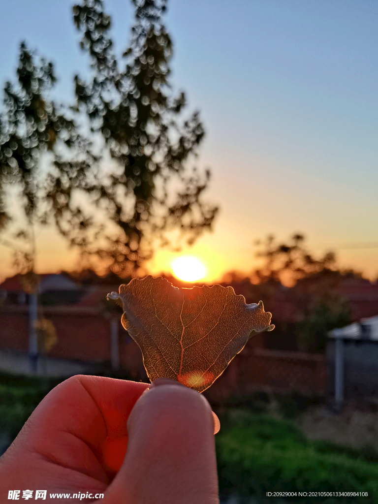 夕阳