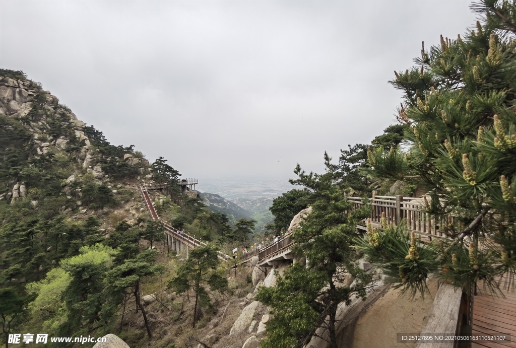 莲花山