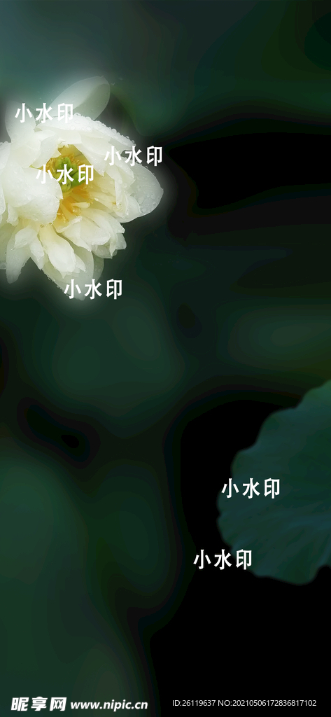 夏天