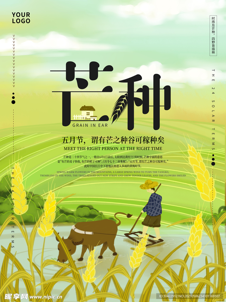  芒种节气插画海报