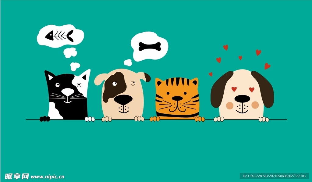 猫