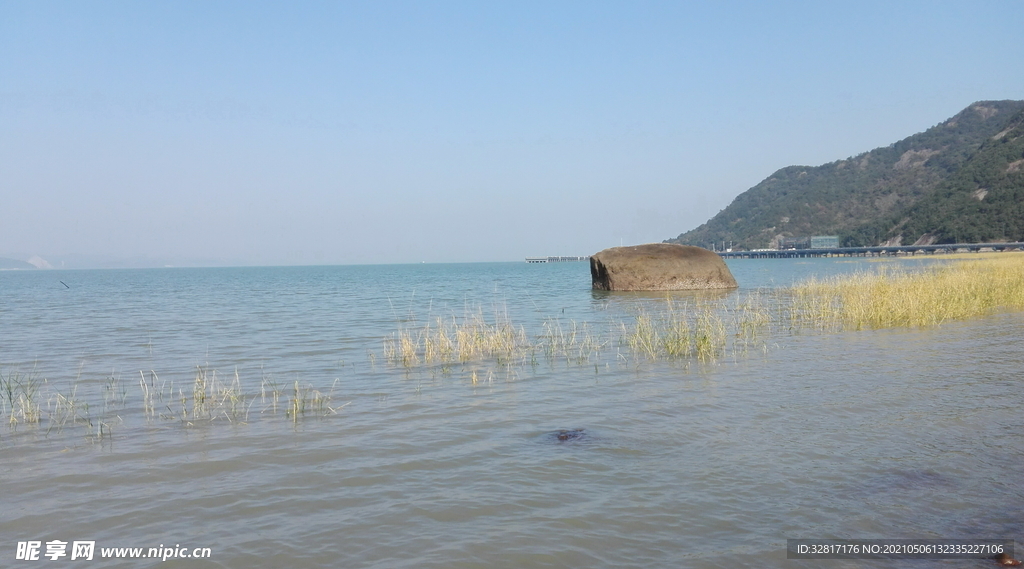 大海