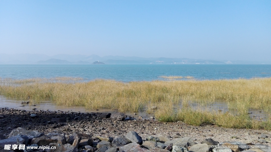 海岸