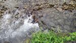 溪水