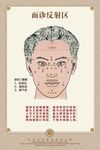 面部反射区海报