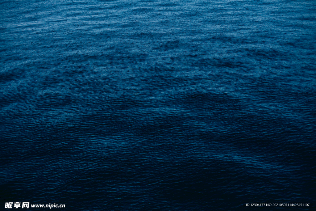 海 