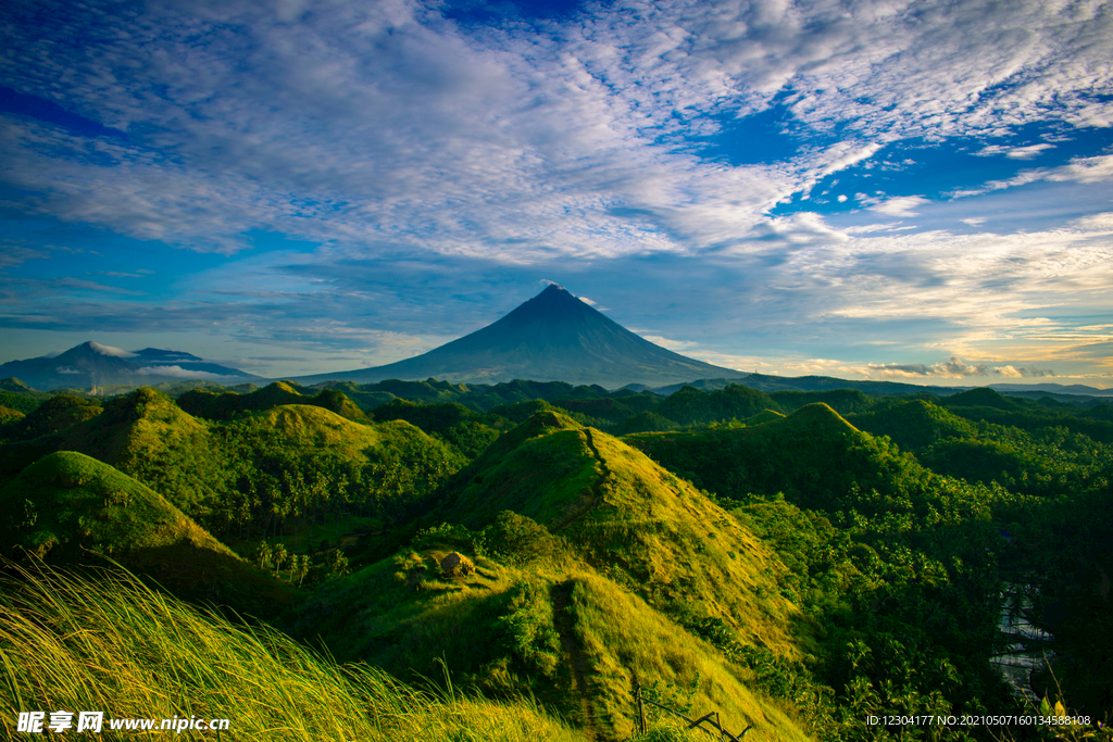 山