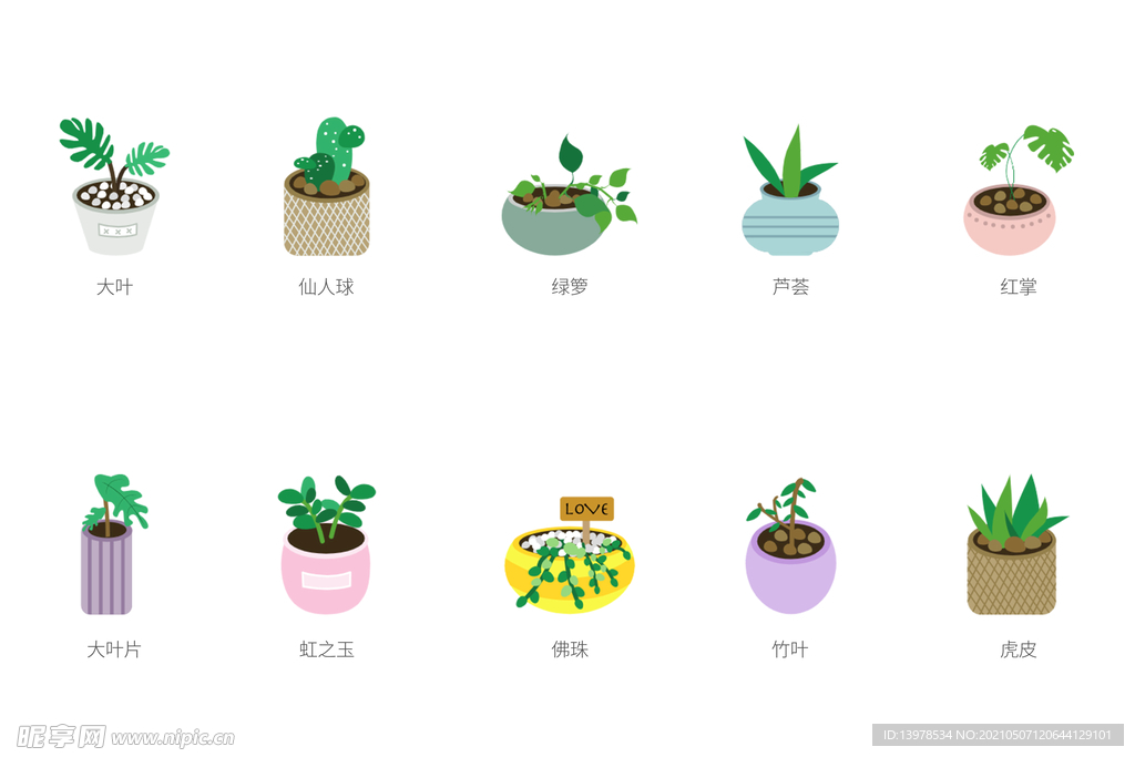 植物花草icon
