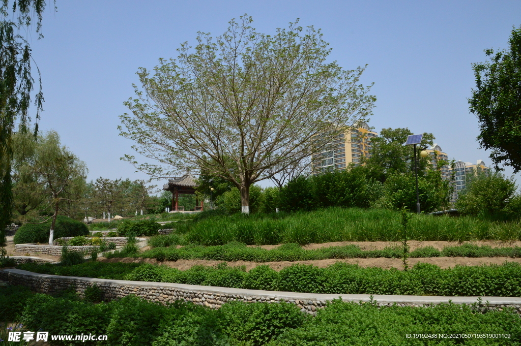 园林风景 