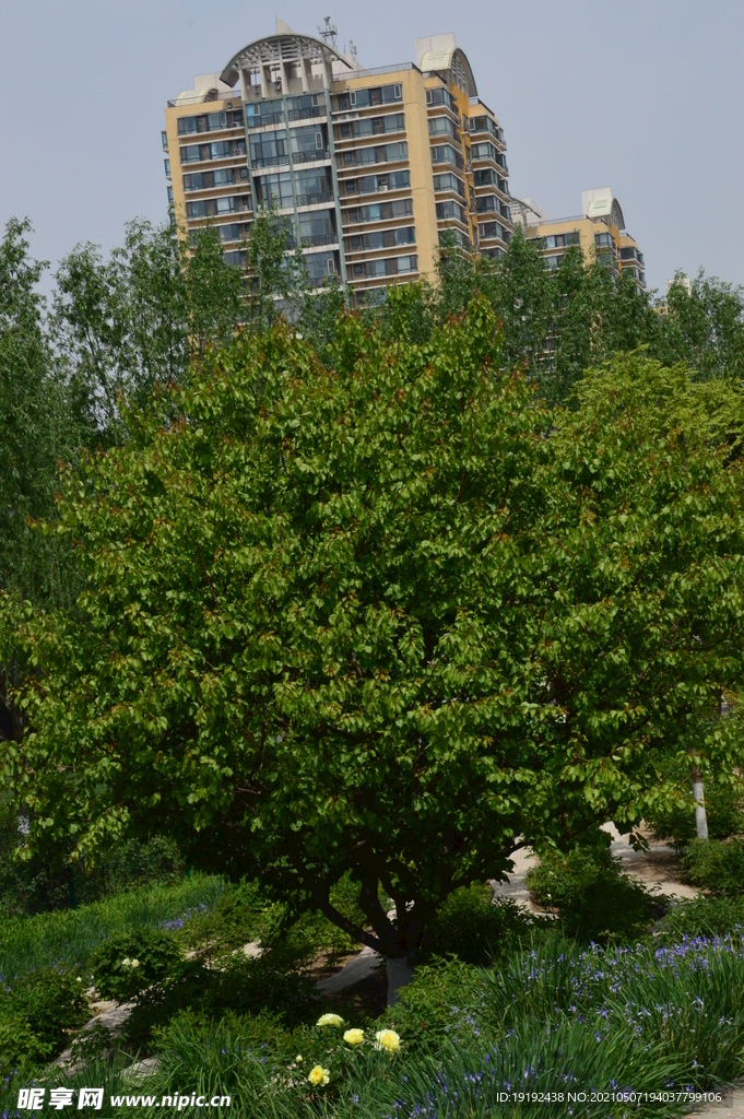 园林风景 