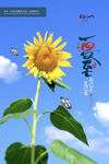 夏至