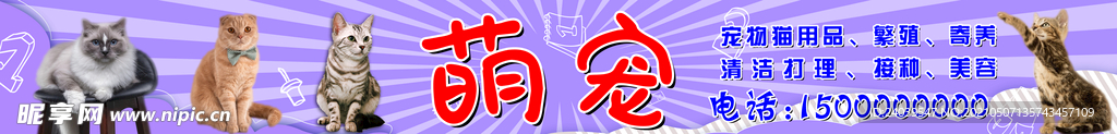 宠物