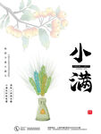 小满  