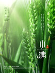 小满  