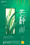 芒种