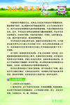 为什么要洗牙
