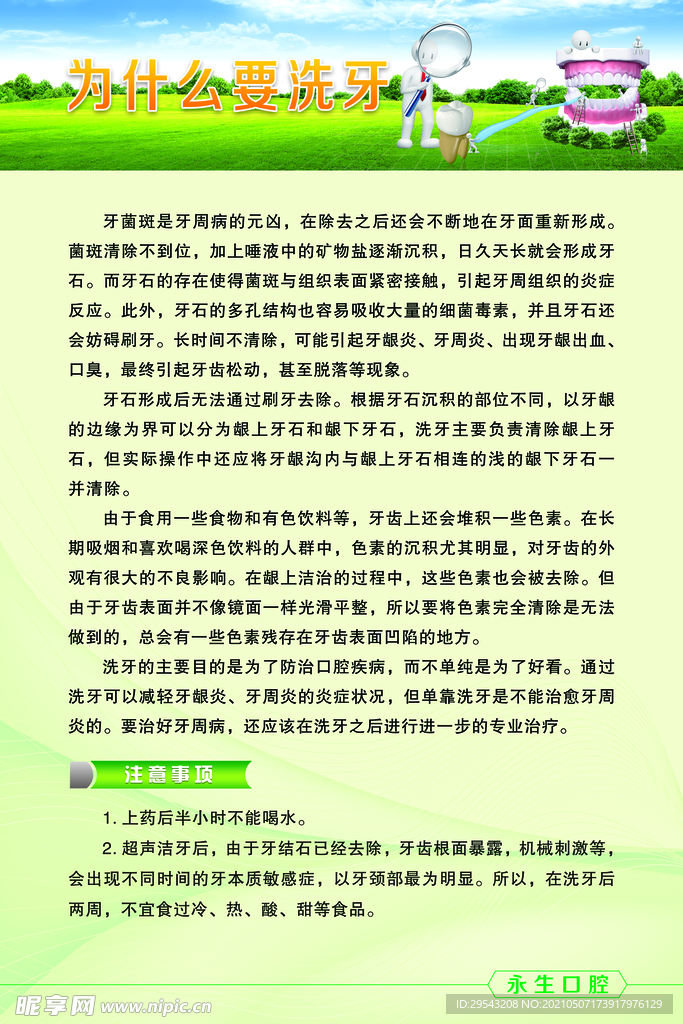 为什么要洗牙