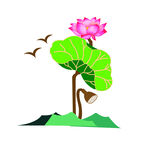荷花