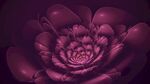 花纹 