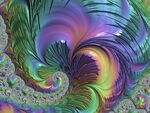 花纹