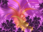 花纹 