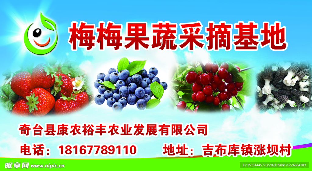 草莓采摘