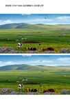 蒙古包草原风景视频