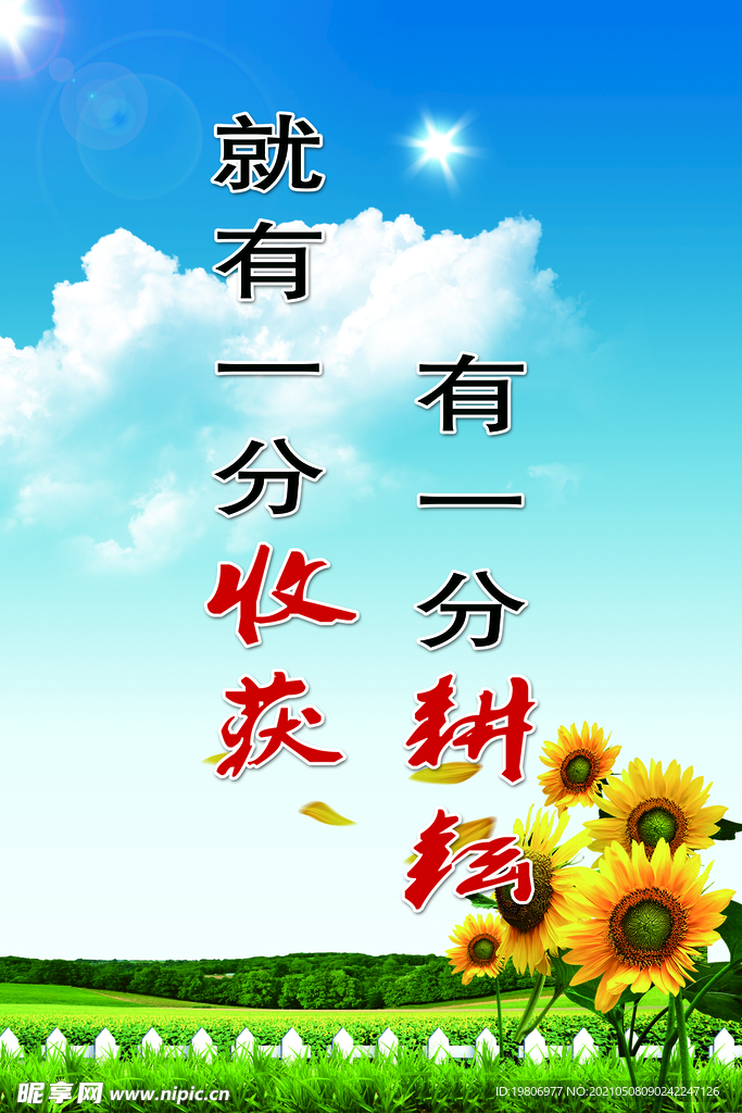 企业展板