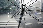 雨伞