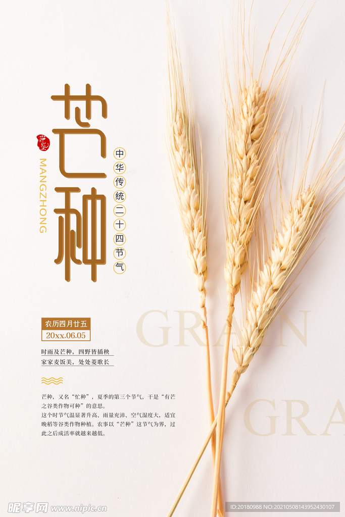 芒种