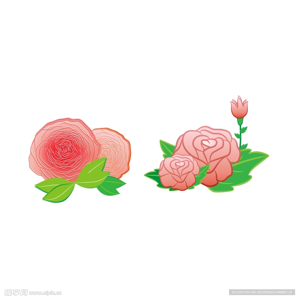 矢量花朵 矢量花卉