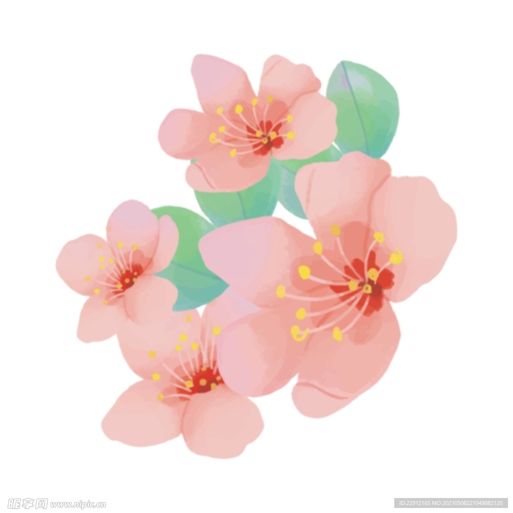 矢量花朵 矢量花卉