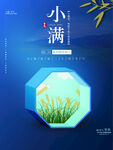 小满节气海报