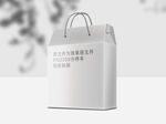 屋脊纸箱包装效果图样机