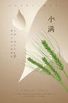 小满