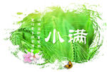 绿色小麦